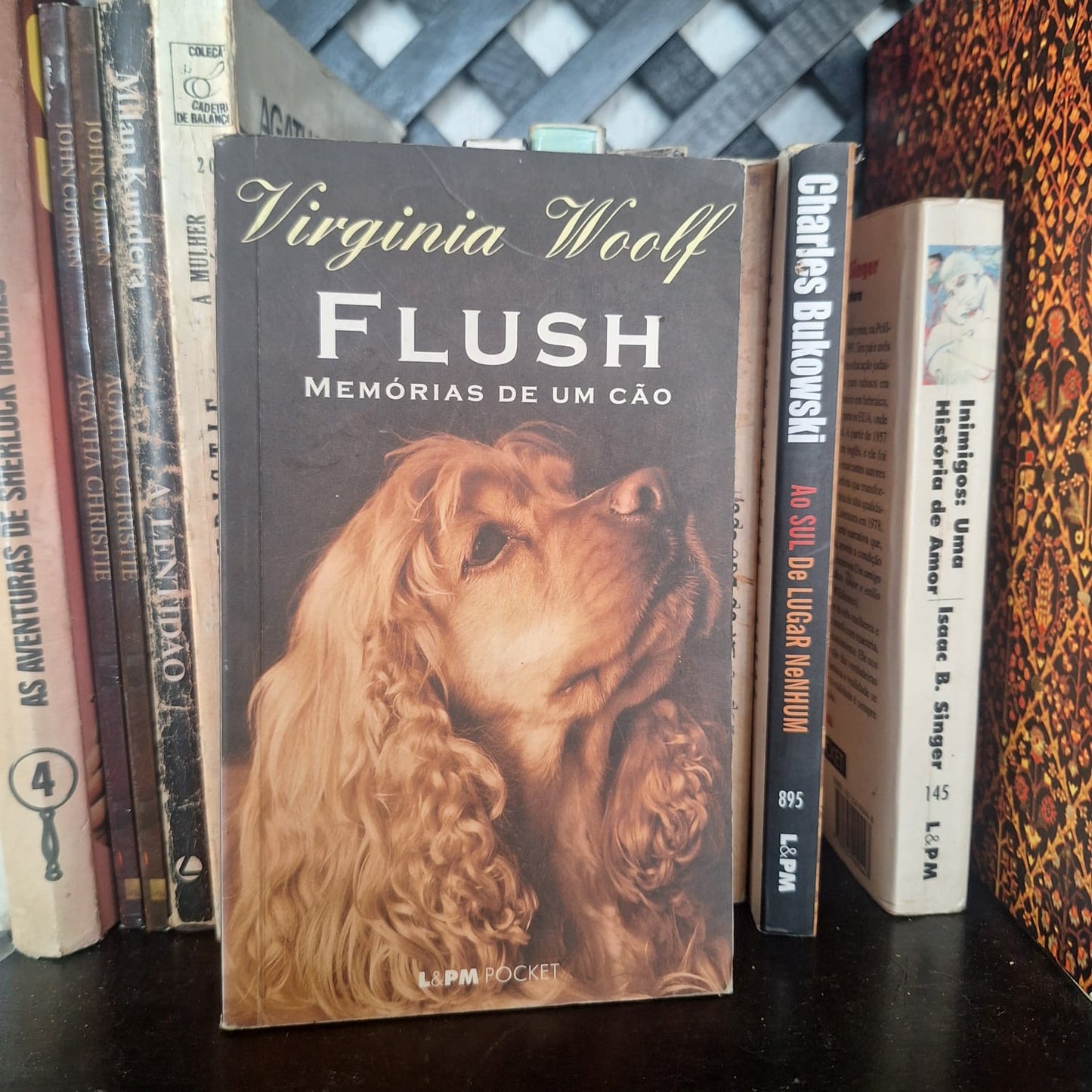 Flush: Memórias de Um Cão - Virginia Woolf