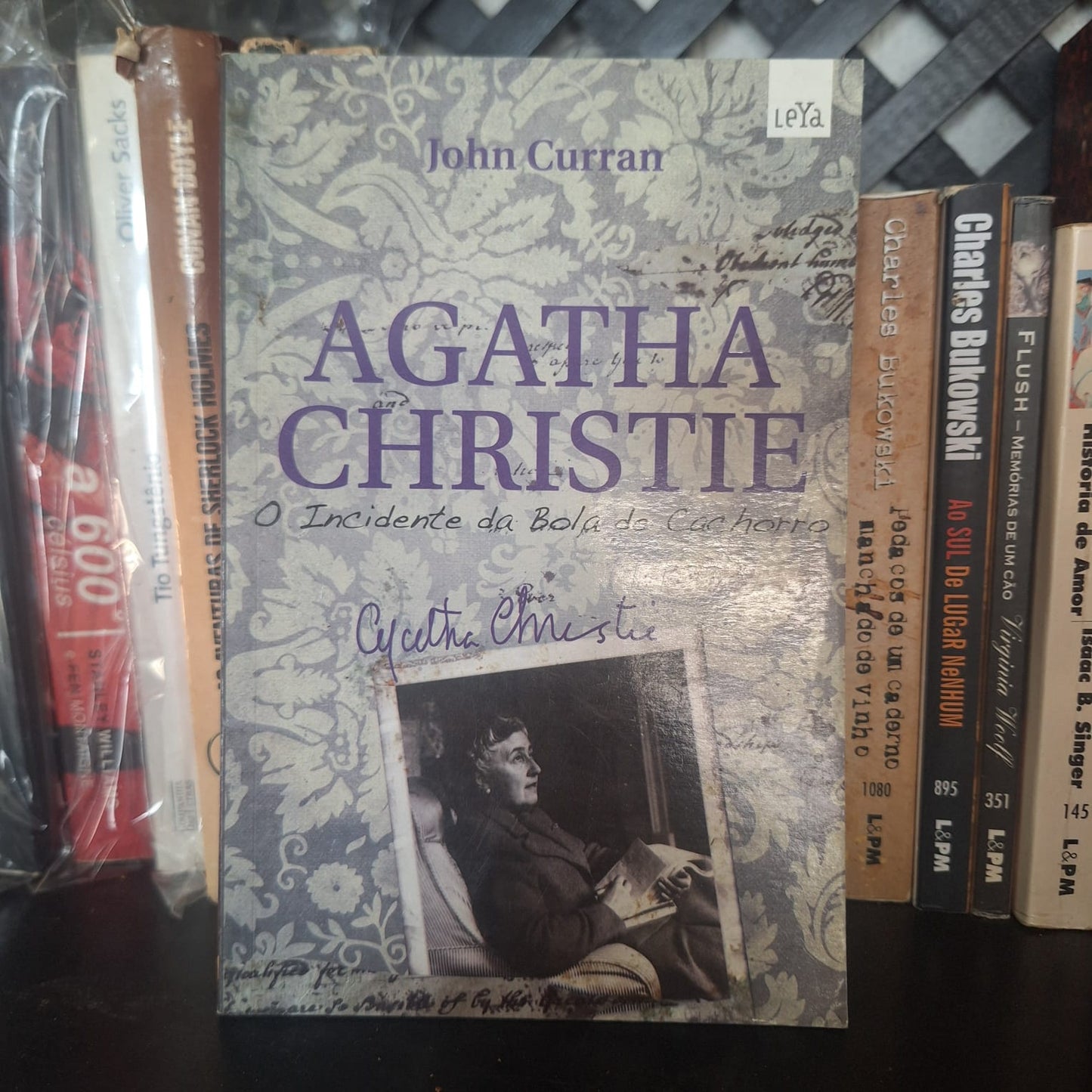 O Incidente da Bola de Cachorro - Agatha Christie